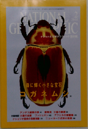 National Geographic February 2001