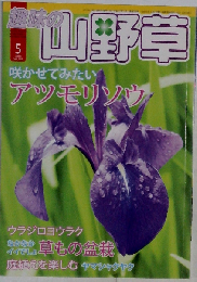 趣味の山野草 2010年 05月号