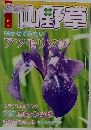 趣味の山野草 2010年 05月号