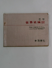 高等 世界史精図