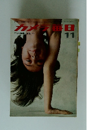 カメラ毎日　１１