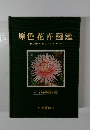 原色花卉図鑑