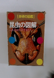 (学研の図鑑) 昆虫の図解