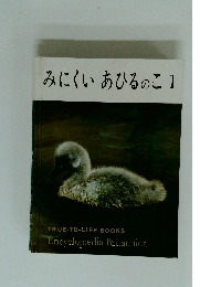 みにくいあひるのこ1