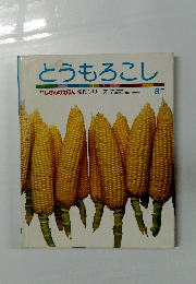 とうもろこし　8