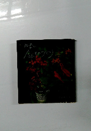 四季の鉢ものづくり