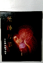 田中幸太郎作品集　光跡万華