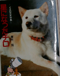 星になったチロ