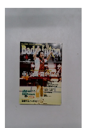 バドミントン　2002年6月