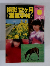 撮影12ヶ月　(実戦手帖) 　春3.4.5