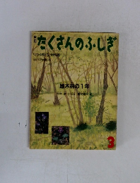 月刊たくさんのふしぎ　「雑木林の1年」　1987年3月号 　