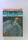 やさしいレース編 素敵な作品が初心者の方にも簡単にできます　