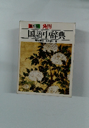 新装版 角川 国語中辞典