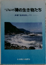 北海道の磯の生き物たち