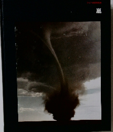 ライフ地球再発見　嵐