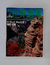 世界遺産　29　2001年5月31日号