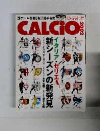 CALCIO　2002年
