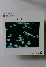 丸さんの絵日記 2　地上にばらまかれた太陽　木もれ日