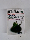 月刊日本 10