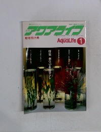 アクアライフ　1991　1