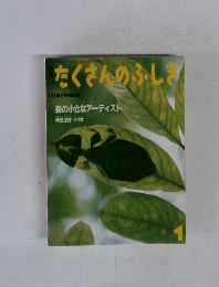 森の小さなアーティスト　たくさんのふしぎ　58号　1990年1月号