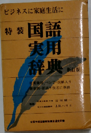 国語実用辞典 新訂版