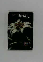 カラー　山の花　1