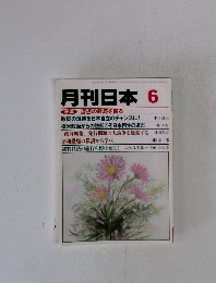 月刊日本　特集 混迷の政局を斬る　6月号