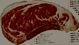 COOK 料理全集 肉の料理 1