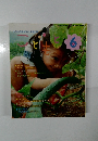 こどもと　2009/6　No.6　今月の保育資料と指導計画