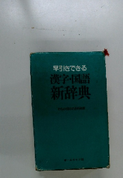 早引きできる　漢字・国語新辞典　