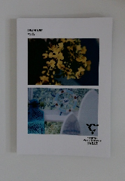 CARAT MAGAZINE VOL.12