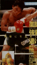 ボクシングマガジン 1995年 5月