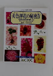 美色押花の秘密 Ⅳ