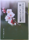 「救い」としての梅花流 