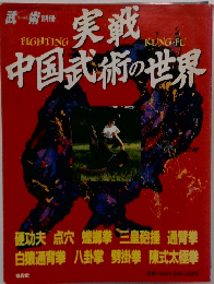 実践中国武術の世界