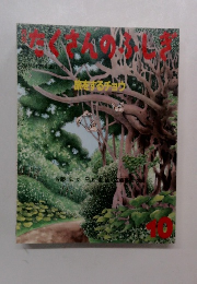 たくさんのふしぎ　第211号