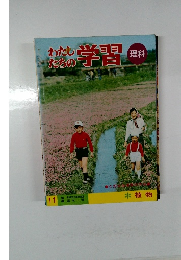 わたしたちの学習　11