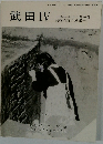 武田　IV