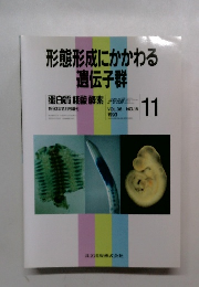 形態形成にかかわる 遺伝子群 1993年11月 vol 38 no 15
