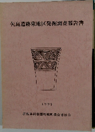 矢島遺跡東地区発掘調査報告書　1999