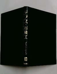 テラス・石積
王 ガーデン・シリーズ 11