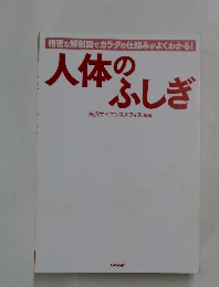 精密な解剖図でカラダの仕組みがよくわかる!　人体のふしぎ