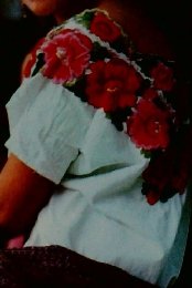 ポピュラー世界めぐり ③ 中米