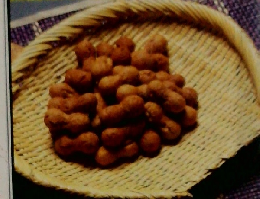 ふるさと料理　ちばの味