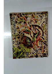 中国風おかず　完全マスター編