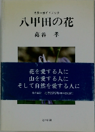 カラーガイドブック 八甲田の花