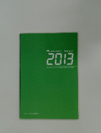 RUNNERS DIARY 2013