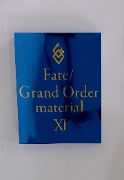 Fate/ Grand Order material XI