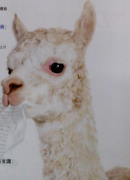 アソシエ　2006年7月18日号